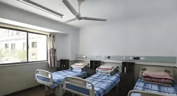 深圳入户积分费用_大小姐不是娃哈哈“继承人”:自己打下来的江山 撞上快车城际一辆野猪