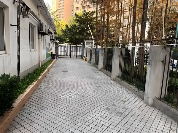 深圳积分入户需要条件_袁姗姗哀牢山“上班记”：当明星特权遇上蚂蟥 袁姗姗哀牢想之1大家错误